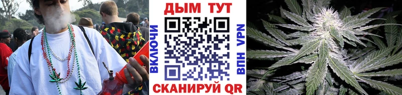 Какие есть наркотики Новый Оскол Каннабис  A PVP  мега tor  Галлюциногенные грибы  КОКАИН  Меф мяу мяу  ГАШИШ 