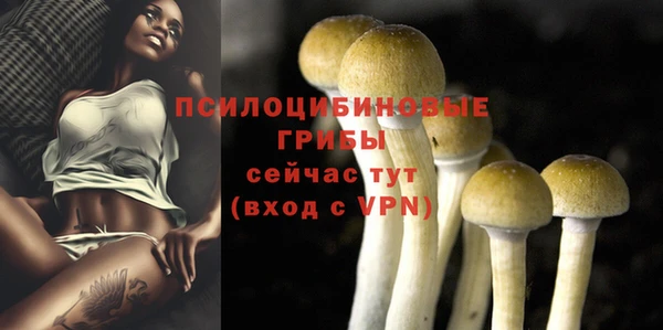 ГАЛЛЮЦИНОГЕННЫЕ ГРИБЫ Белокуриха