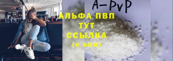 ГАЛЛЮЦИНОГЕННЫЕ ГРИБЫ Белокуриха