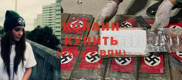 ГАЛЛЮЦИНОГЕННЫЕ ГРИБЫ Белокуриха