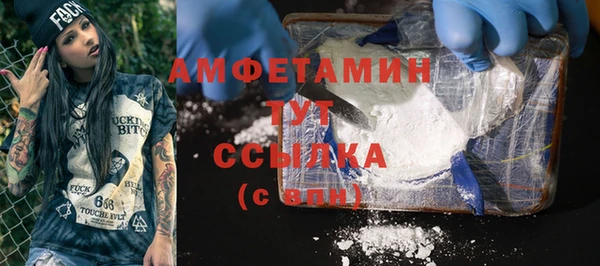 ГАЛЛЮЦИНОГЕННЫЕ ГРИБЫ Белокуриха