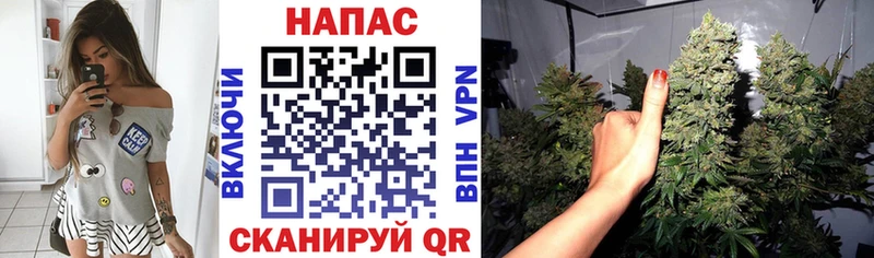 МАРИХУАНА White Widow Новый Оскол